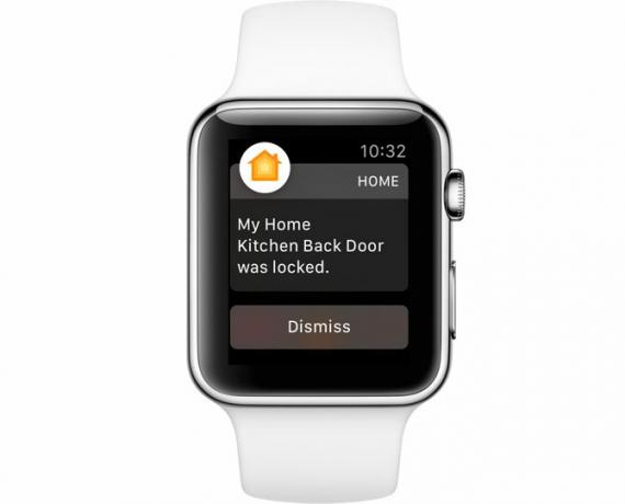 notificações do apple watch