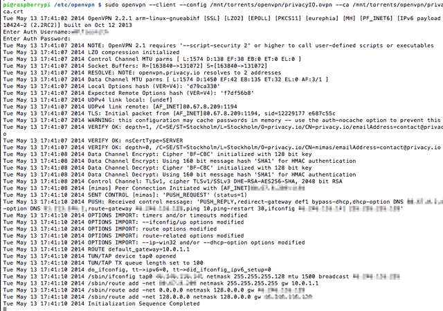 openvpn-connection-output