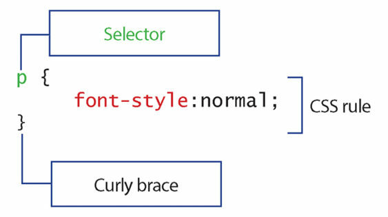 7 habilidades de programação que todos os desenvolvedores de sites devem conhecer as regras de CSS 563x315