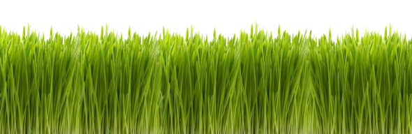 9 maneiras de se tornar mais popular no Facebook [Dicas semanais no Facebook] Green Grass