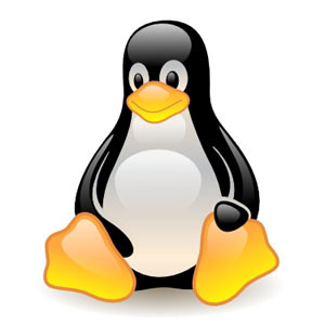 comandos linux