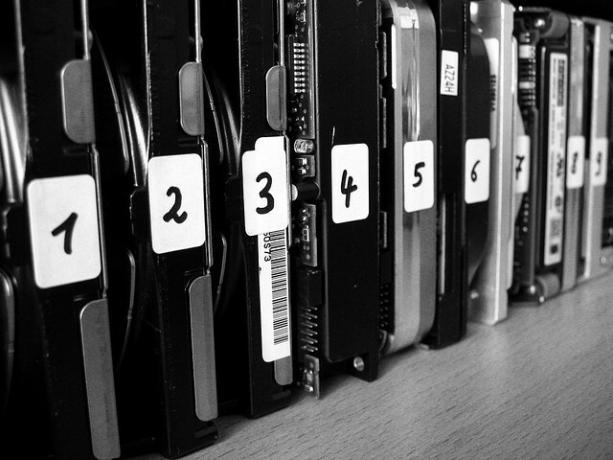 organizado