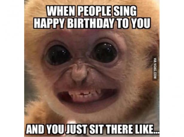 Meme de aniversário de macaco feio