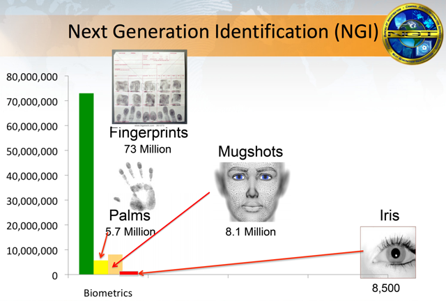 ngi-contents