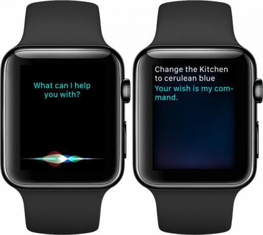 siri apple watch