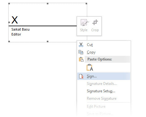 Documento de linha de assinatura do Microsoft Office