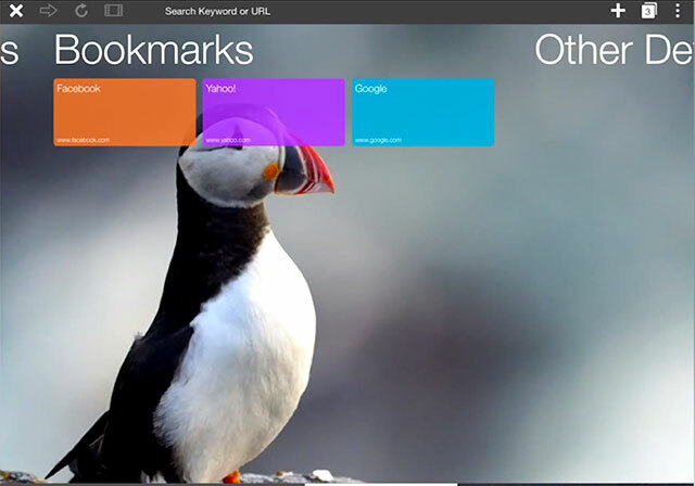 Comparação de navegadores de terceiros para iPad puffin