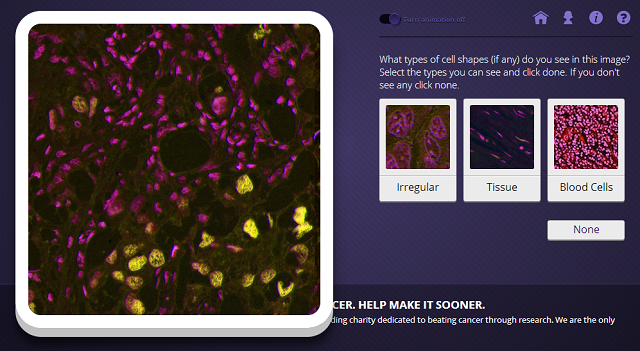 Cell-Slider