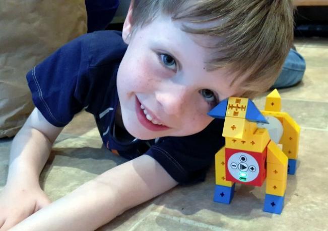 Cão Tinkerbots