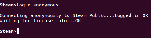 terminal steamcmd