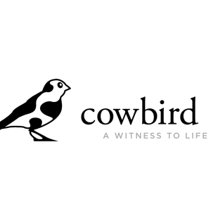 contar histórias de cowbird