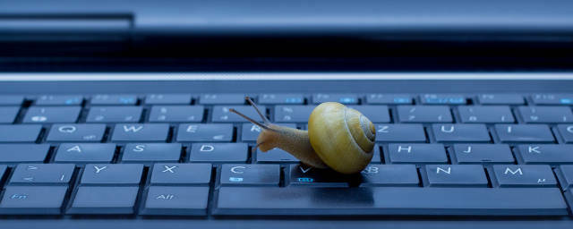 Caracol no teclado do laptop