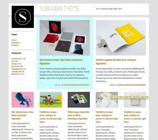 revista wordpress