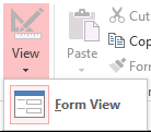 Access 2013 Form View