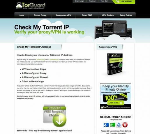 verificação-torrent-ip