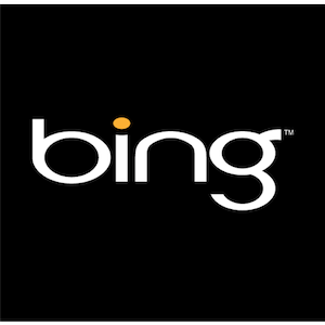 O Bing Introduz a Pesquisa Sem Tipo - Funciona? [Notícias] Bing 1