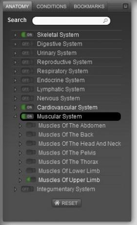 anatomia do corpo humano