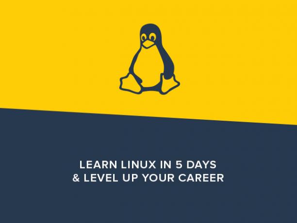 5 cursos para ajudá-lo a dominar o Linux e a linha de comando