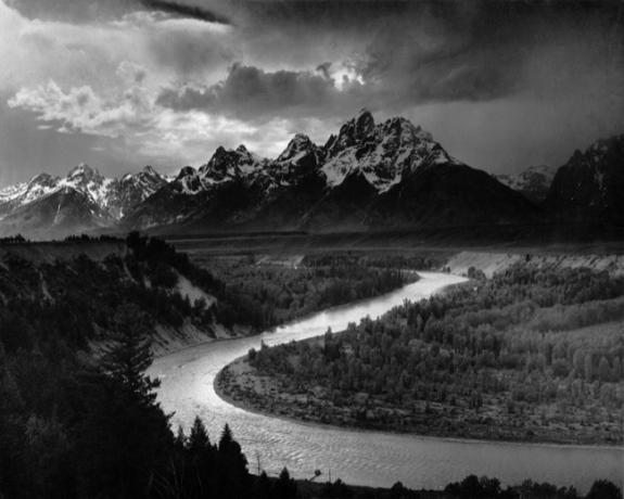 3anseladams