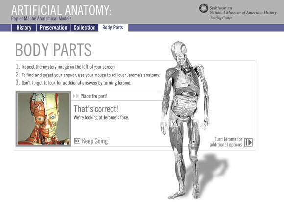 anatomia interativa