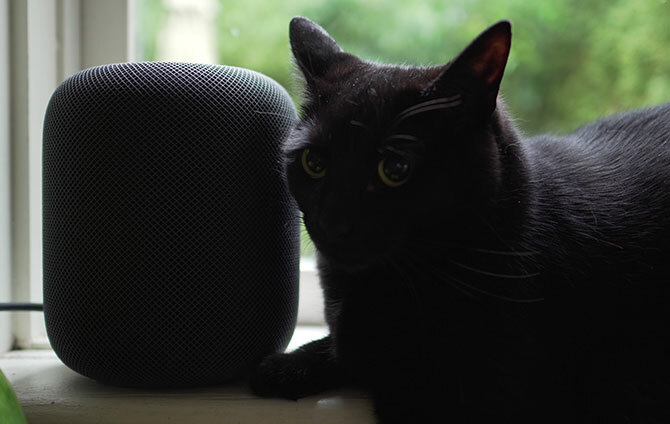 HomePod com gato preto