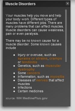 anatomia do corpo humano