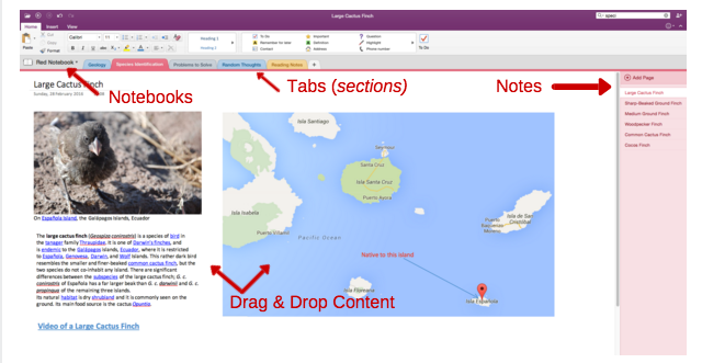 Organização do OneNote