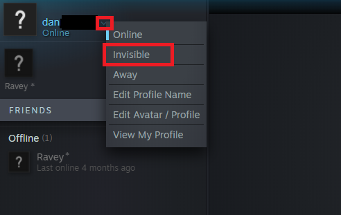 chat steam invisible