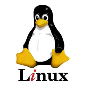 versão mais fácil do linux