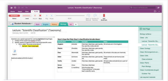 Exemplo de captura de tela de visão geral básica do OneNote