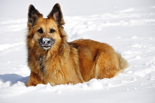 Dicas-Fotografia-Inverno-Captura-Reações